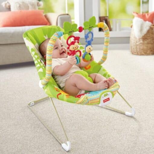 Infantes 668 28 Music And Soothe Bouncer Green. RI 2