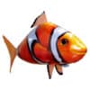 Inflatable Remote Control Flying Fish Nemo.