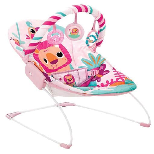 Mastela 6936 Music And Soothe Bouncer PINK